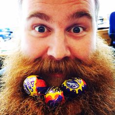 Image of Creme Egg Nest Beard