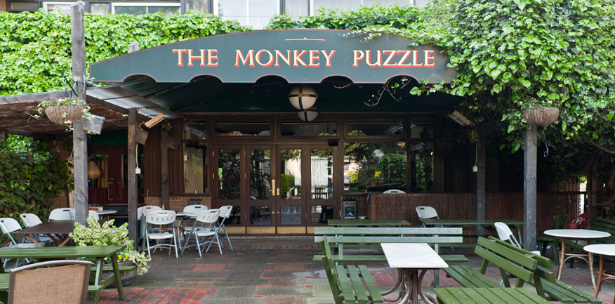 Monkey Puzzle - one of the best bars in Paddington